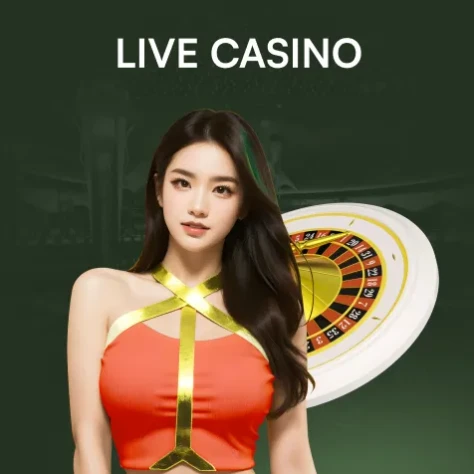 DU88 live casino