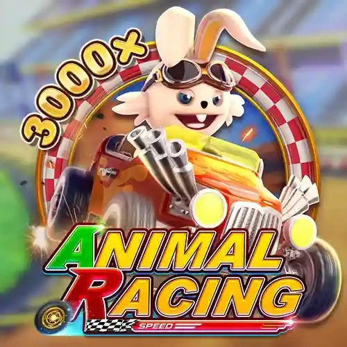 DU88 Animal Racing
