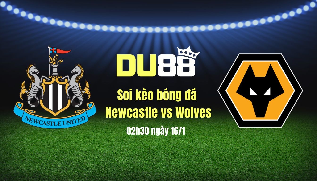 DU88 Soi kèo bóng đá Newcastle vs Wolves, 02h30 ngày 16/1:Tiếp tục phong độ đỉnh cao